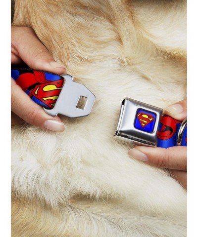 DC Comics Justice League Superman Shield Cape Seatbelt Buckle Dog Collar $9.21 Pet Collars